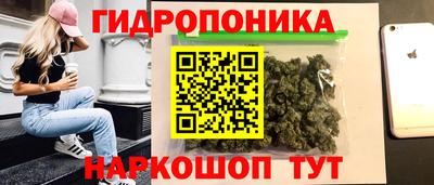 стаф Тула