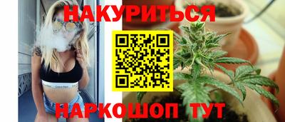 стаф Тула