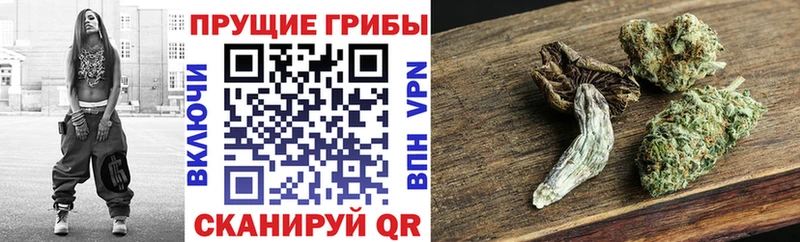 Псилоцибиновые грибы мухоморы  дарнет шоп  Советская Гавань 