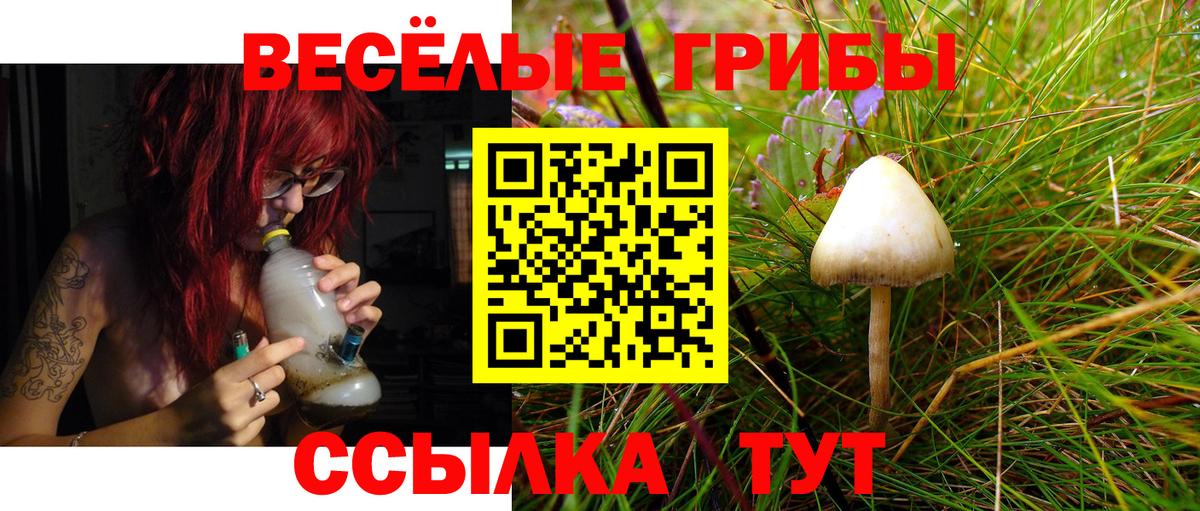 Псилоцибиновые грибы ЛСД  Вход с VPN  Советская Гавань 