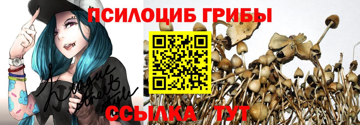Псилоцибиновые грибы Magic Shrooms Советская Гавань